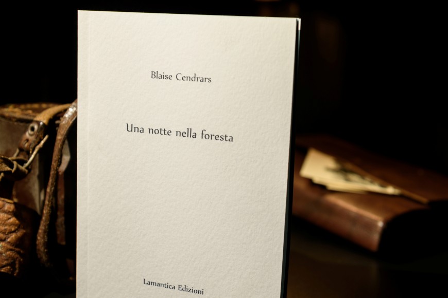 Una notte nella foresta t.