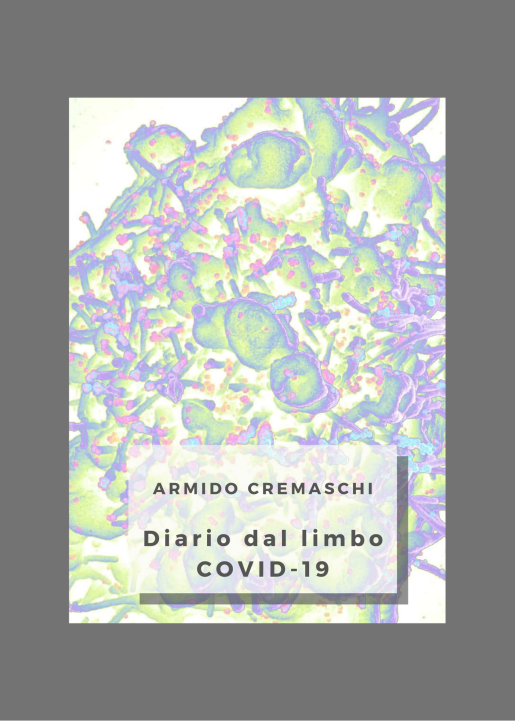 prova copertina diario Covid cornice grigia chiara